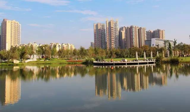 郫县豆瓣现状,郫县豆瓣有什么特别之处