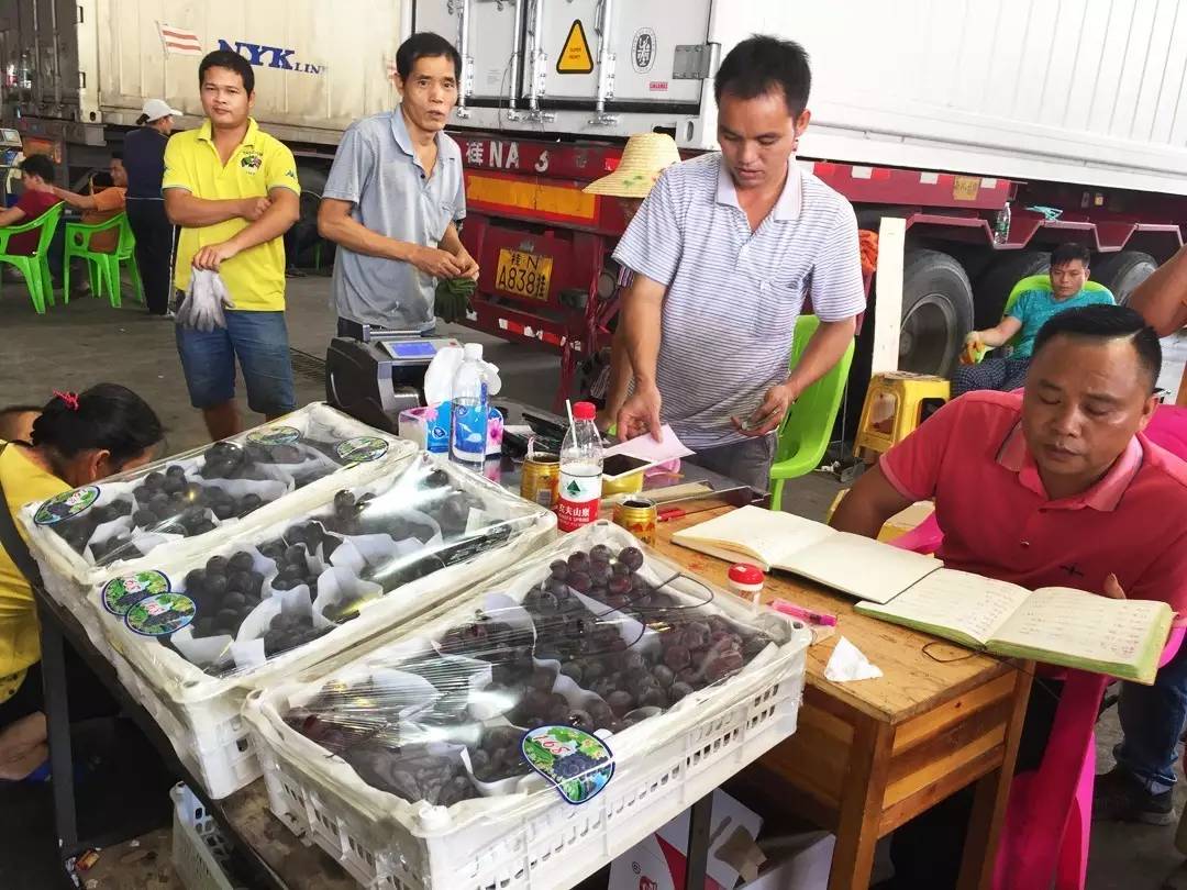 正品进口食品中国代理商,国产进口食品批发商进货渠道