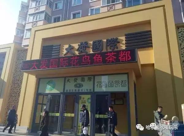 哈尔滨最便宜食品批发市场,哈尔滨灯具批发市场哪家便宜