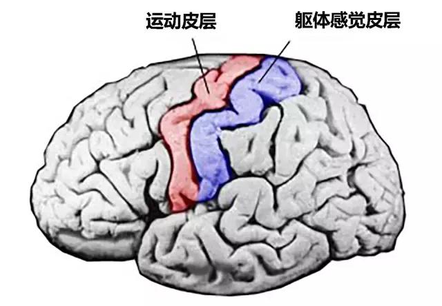 聚焦颈肩腰腿疼,中度疼痛的镇痛方法