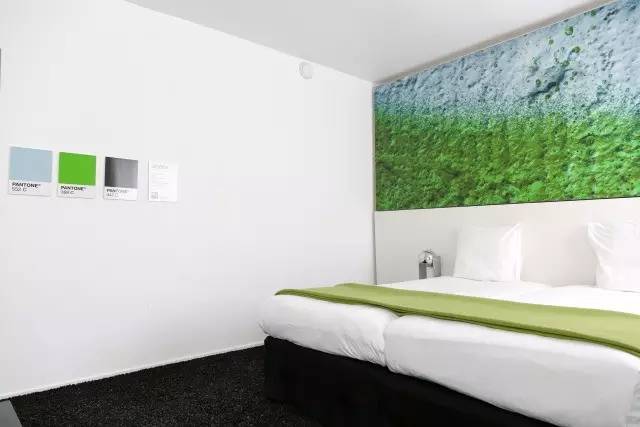 潘通十大必买颜色,潘通2024年度流行色排版