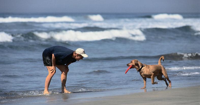 养狗前的十个忠告,养狗之前需要知道的事