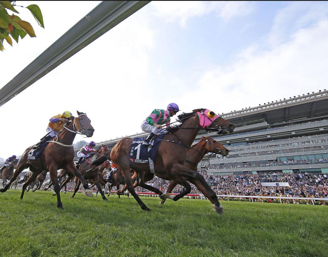 纯种马争夺草场王位，浪琴手表礼赞赛事和胜者