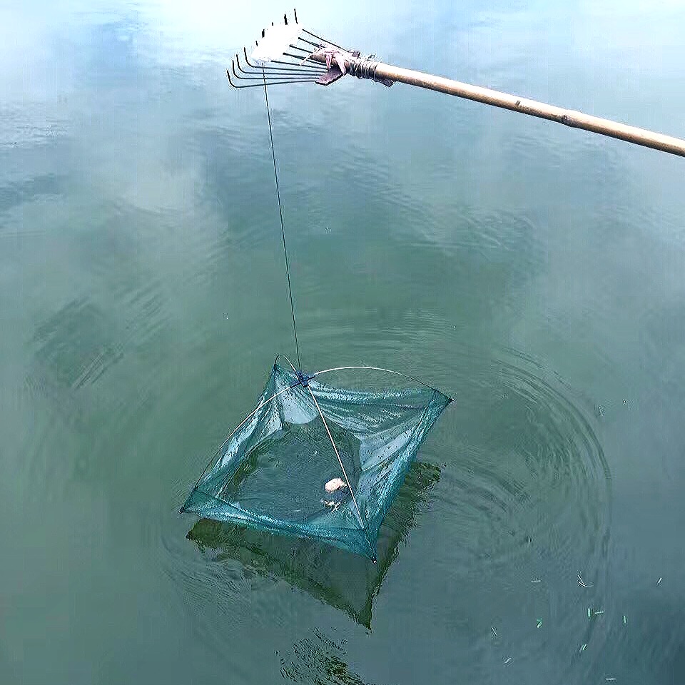 捉虾新技巧学会了就不愁吃虾了,抓虾重庆