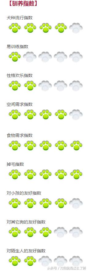 最凶悍的大白熊犬,常见的大白熊犬