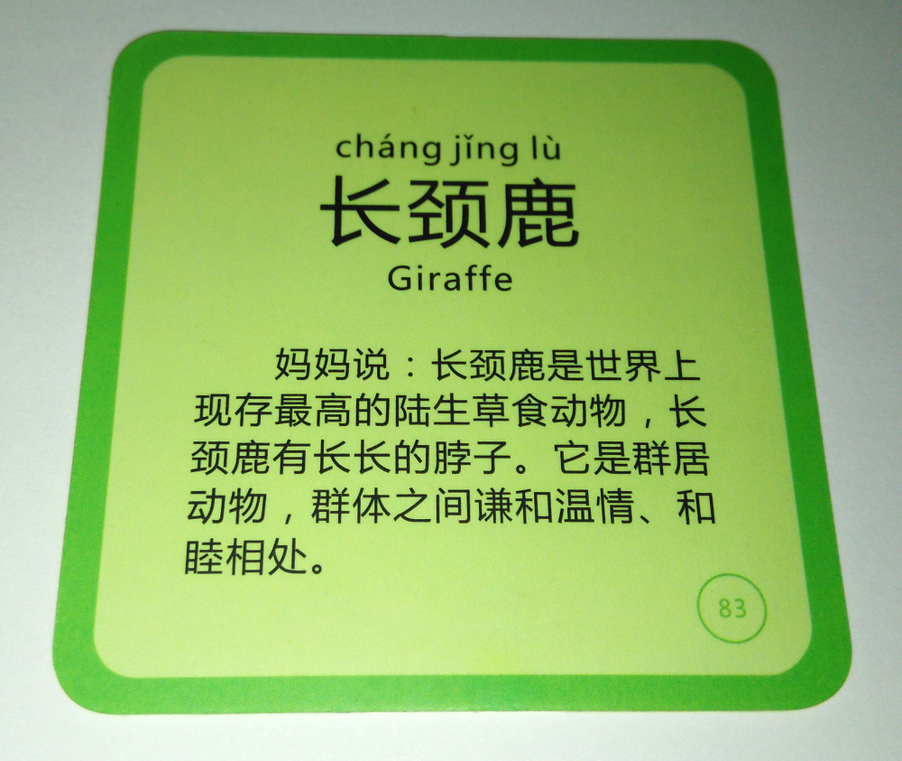 ar卡片教程,启蒙ar卡片