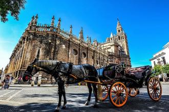自驾游中的桃花运,出行时桃花运爆棚小技巧