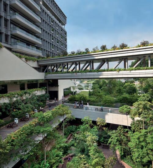 新加坡医疗保健体系如何成为亚洲第一，种下芝麻，长出西瓜！