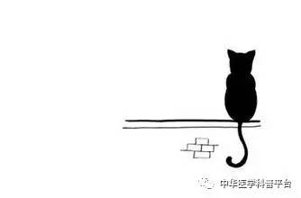 每天都在洗,皮肤这道“城墙”是怎样建成的