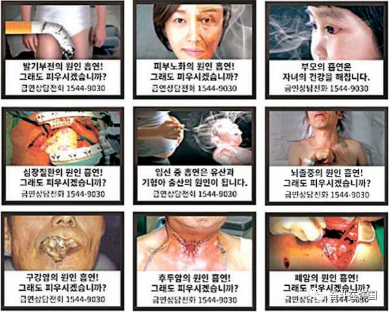 鐑熺洅寰堟伓蹇冪殑鏄粈涔堢儫,琚姝㈢殑鍏棣欑儫鍥剧墖