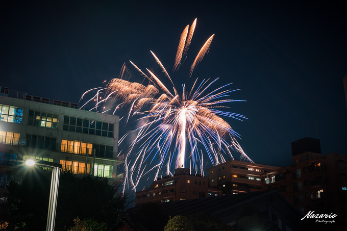 粉红猪小妹与小猪佩奇,粉红猪小妹的快乐生活