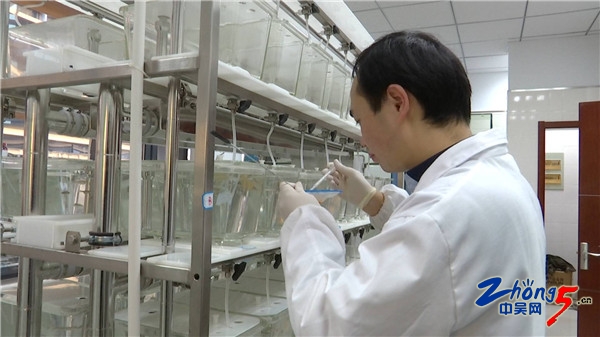 常州生态环境检测管理,常州环境监测治理