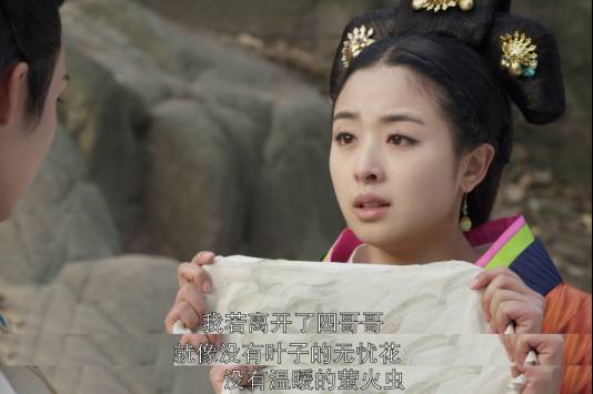 兰陵王宇文邕深情,兰陵王宇文邕情种