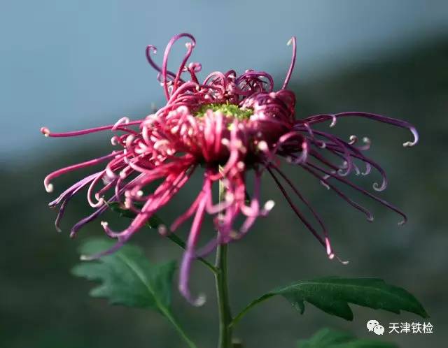 鍜岃皭鑷劧鎽勫奖浣滃搧娆ｈ祻,鍜岃皭鑷劧鎽勫奖浣滃搧