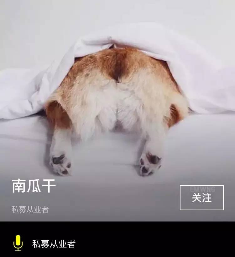 内幕｜空空狐事件：公司当事人X创投人X私募基金人联袂爆料