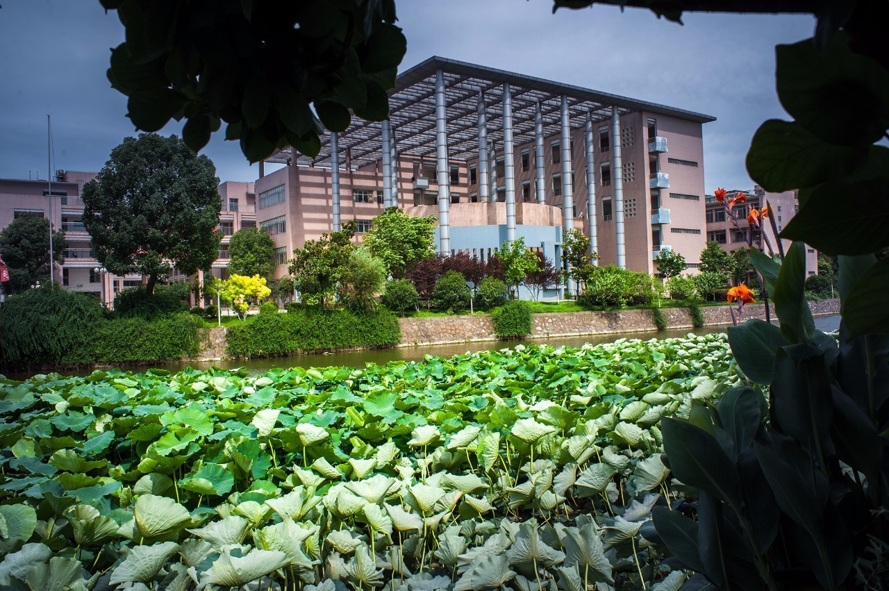 马鞍山二中在全省排名,马鞍山二中省内排名