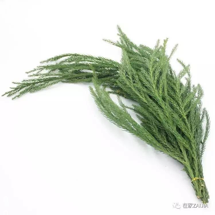 朋友来你家美到哭，手残*党**也能搞定的低价节日餐桌