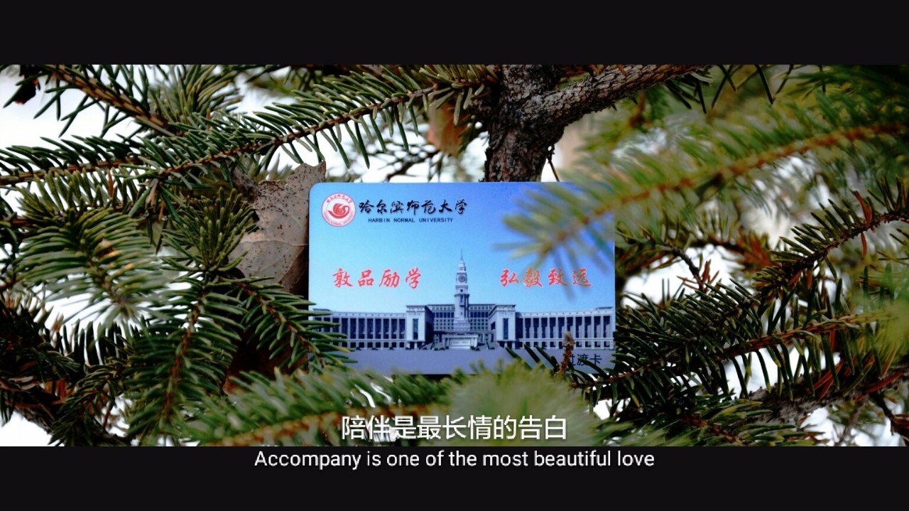 印象哈师大,曾经的哈师大风光