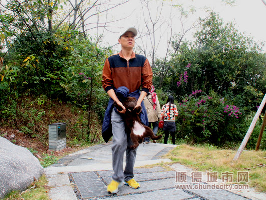 采风活动,采风的活动