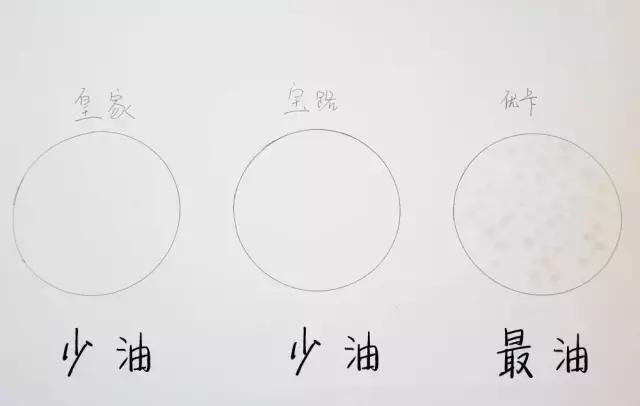 狗粮测评进口粮,狗粮评测报告