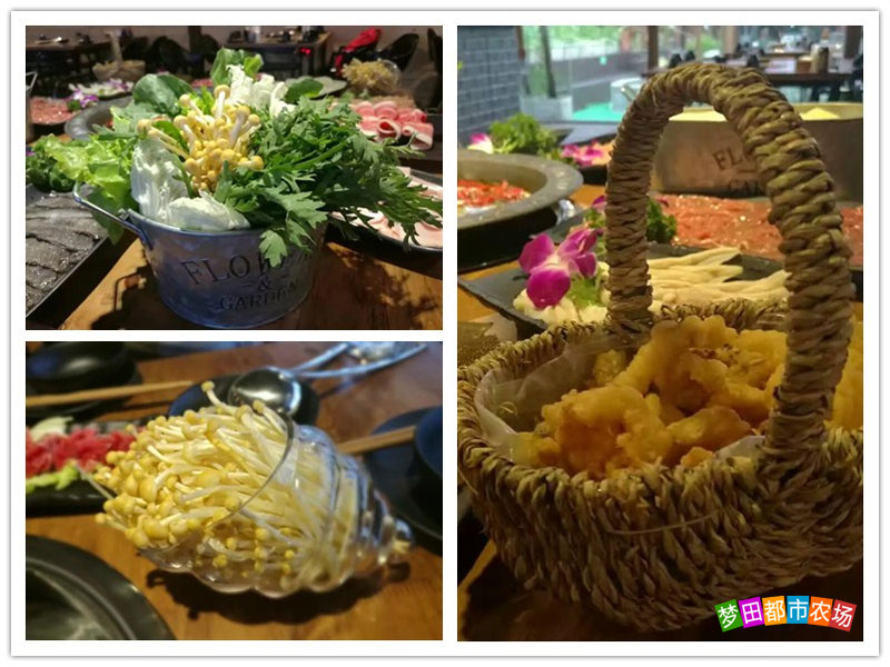 公司年会适合去的地方,公司年会去哪好