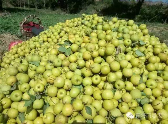 青海的美食和美景,青海冬天的日常美食