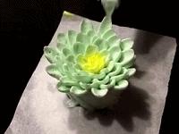 奶油奶酪霜裱花,奶酪霜裱花