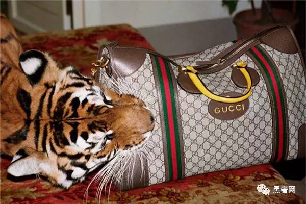 gucci2018春夏新款贝壳包,gucci2023春夏新款包包价格