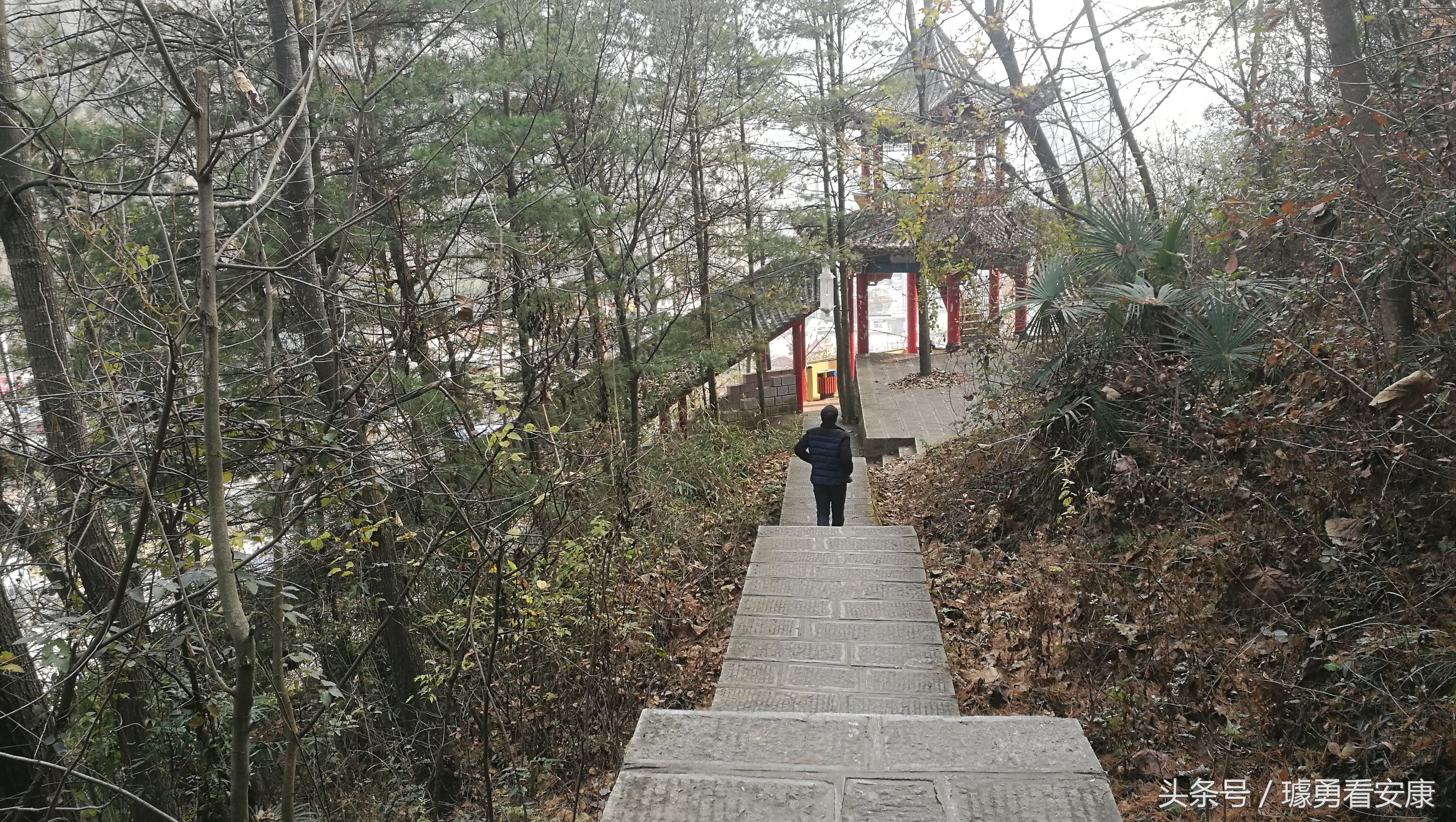 这里是中国慢城，一个让人能够宁静的城市这里环境美人情更美