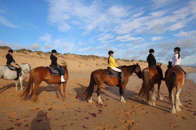 这是一个关于一群华人富婆,到澳洲买苦吃的故事