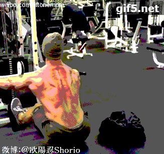 背部最佳增肌训练排行表,背部增肌徒手训练方法