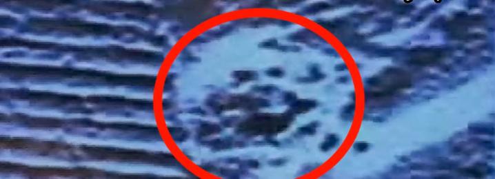 令人不寒而栗的幽灵图片,让人印象深刻的15张诡异图片