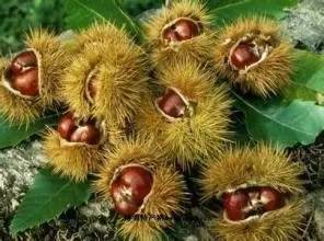 国家对三四线城市有哪些补贴,中央扶持哪三个城市