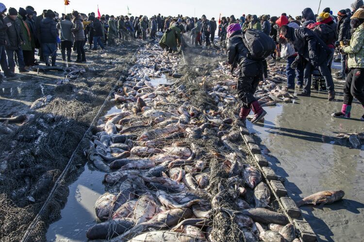 查干湖冬捕纪录片全集,查干湖冬捕地点在哪里