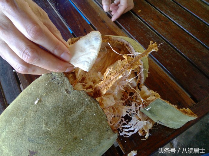 非洲就是“不毛之地”的代名词?错了,那的奇葩植可不少物!