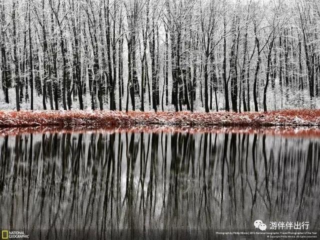 游伴伴|2016年最让人叹为观止的照片!