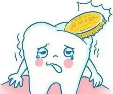 二级松动牙齿必须拔吗,老年狗牙齿松动要拔吗