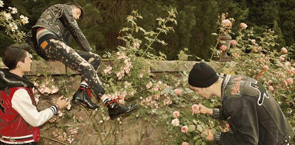 动物包gucci,gucci小动物包