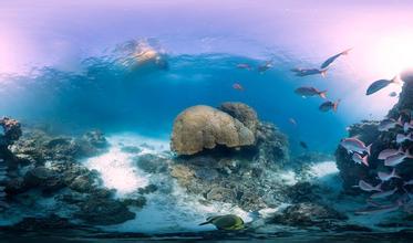 世界上最恐怖的八个国家,恐怖世界第八集