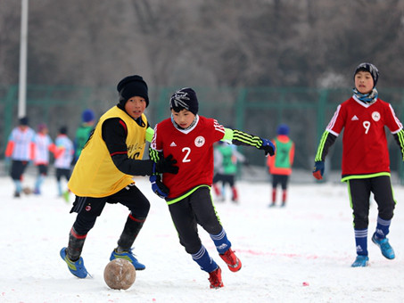足球快乐冠军,快乐足球第一名