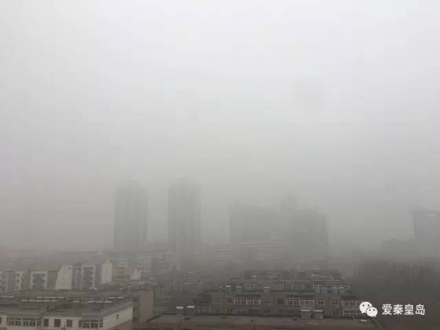 小岛公交车,小岛公交