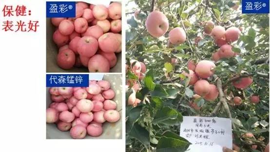 今日优品品牌零食,今日优品个体店