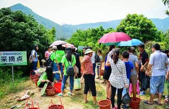 2017叨位“七桃”?看这里,拿走不谢!