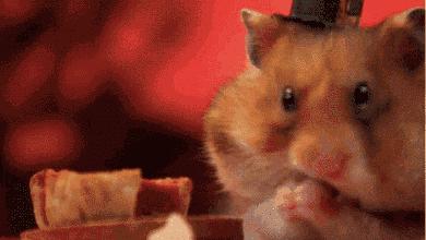 米其林顶级甜品,米其林餐厅甜品顶级