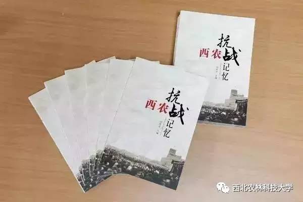 分享成为第一人重要不,分享成为炫耀