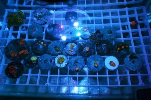 玩的真溜,三千玩出了三万的水平!