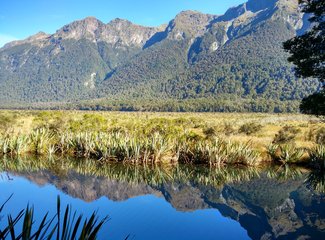 《小丫头的奇异之旅》第11章，第十天，周三