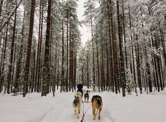 北欧雪中漫步芬兰,北欧四国游丹麦瑞典挪威芬兰