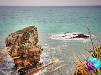 「2016.10RaesTriptoNewZealand」11日初次南半球之纽西兰