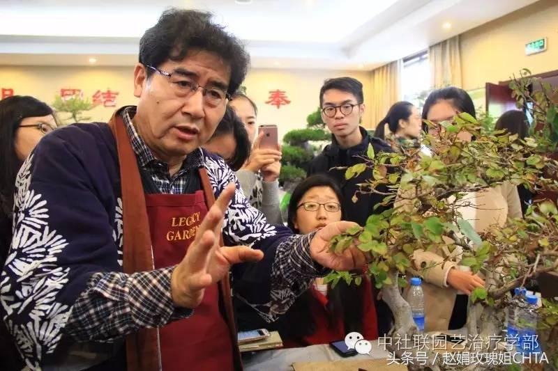 园艺疗法｜用最温柔的方式治愈社会病